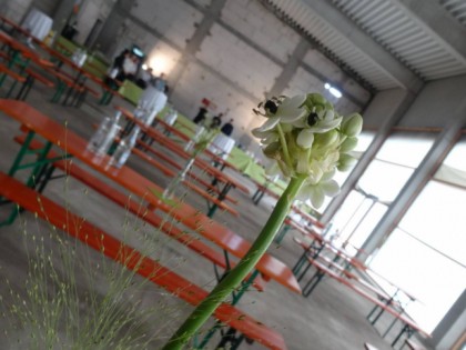 Foto: essbar -Eggebek
